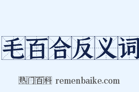 毛百合反义词是什么意思的图片
